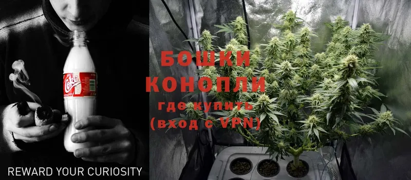 МАРИХУАНА LSD WEED  где можно купить   Кашин 